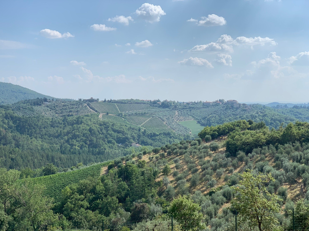 La Casa Di Bricciano - Organic Winery景点图片