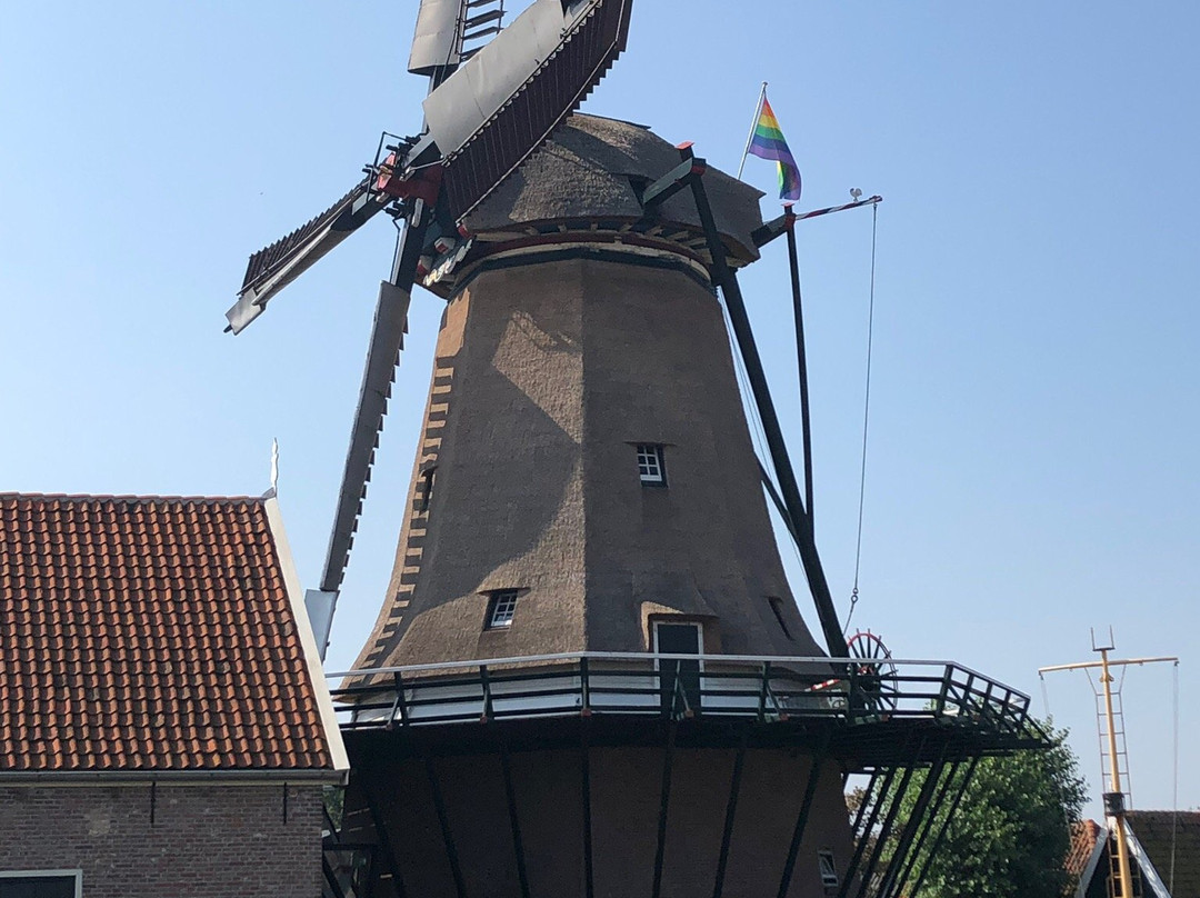 Molen de Traanroeier Oudeschild Texel景点图片