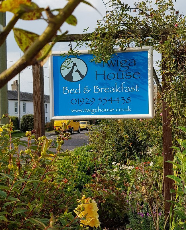 Twiga House Bed and Breakfast主图