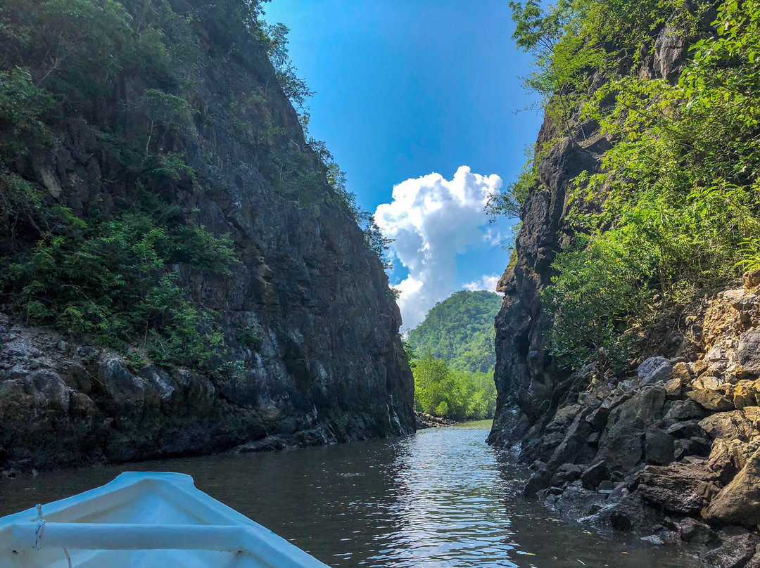 Langkawi Mangrove Tour by Hasfary Travel & Tours景点图片
