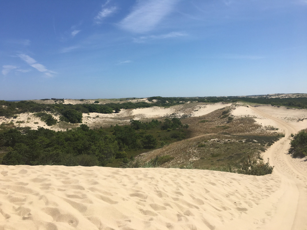 Art's Dune Tours景点图片