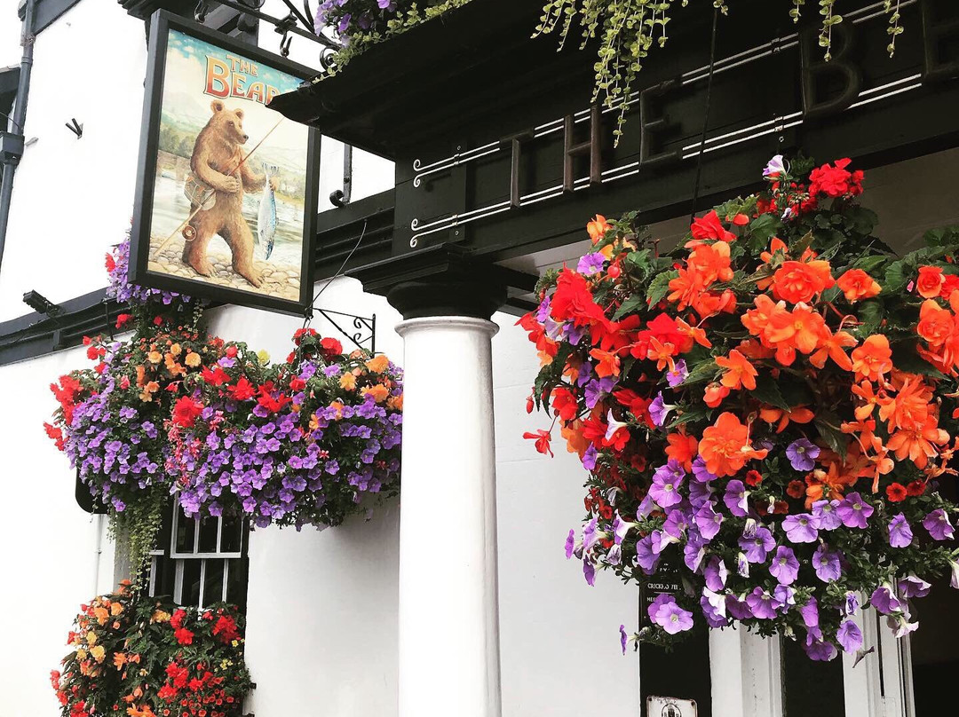 The Bear Hotel主图