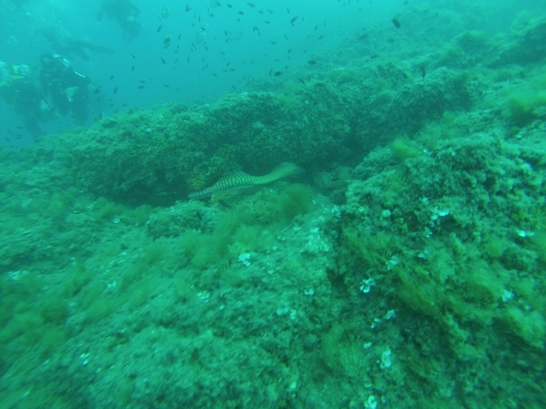 Xaloc Diving Center景点图片