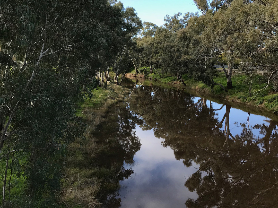 Avoca River Walk景点图片