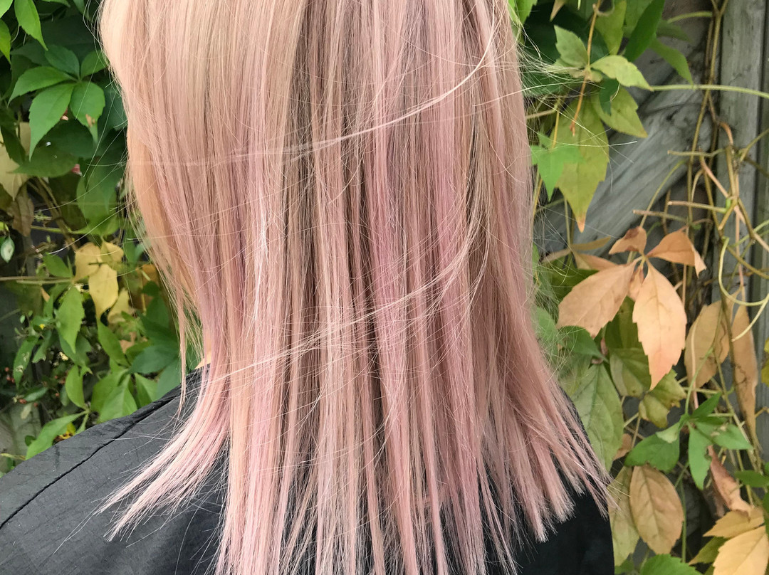 Joshua Tree Aveda Lifestyle Salon & Spa-West Bridgford必去景点