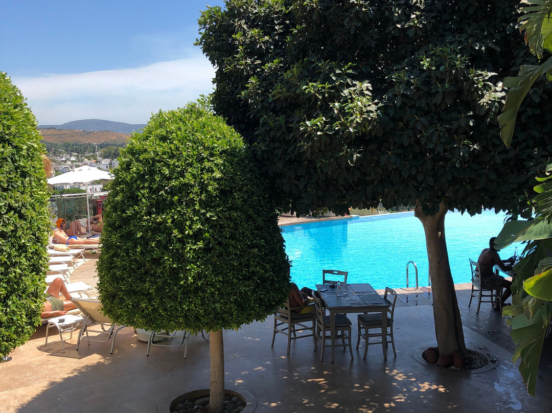 Temenos Luxury Suites Hotel & Spa主图