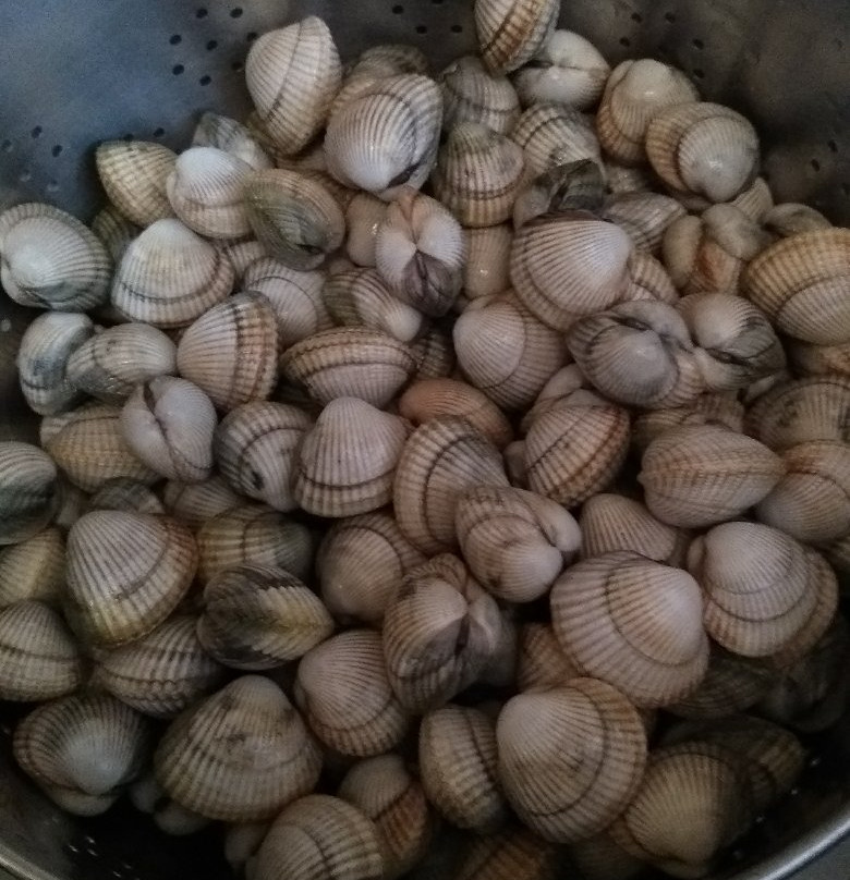 Halle Aux Poissons-La Trinite-sur-Mer必去景点