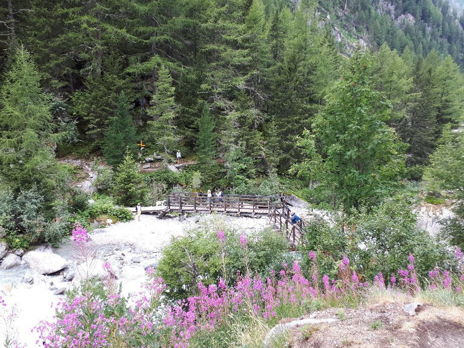 Sentier du bisse du Glacier du Trient-Trient必去景点