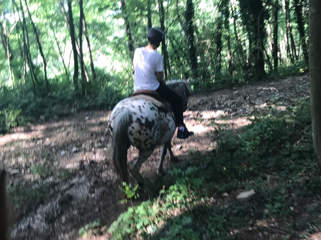Ruscello Ranch-Bagni di Lucca必去景点