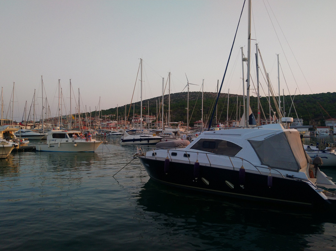 Dalyan Marina景点图片