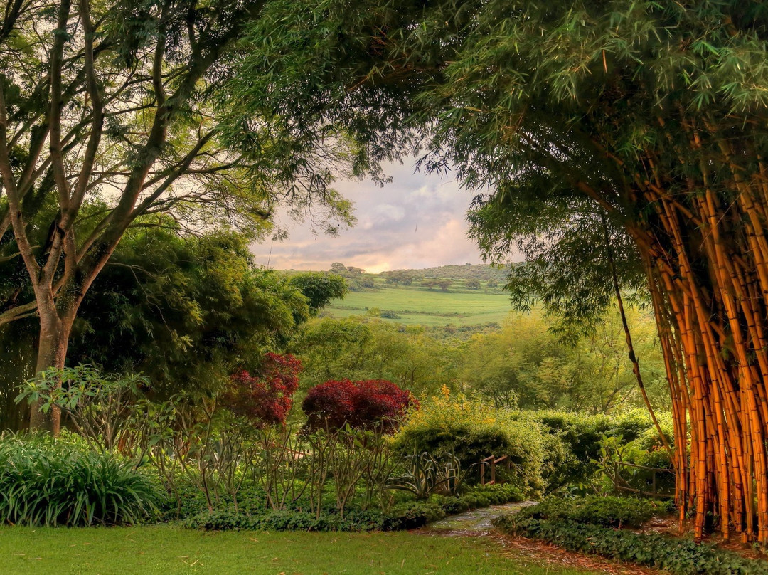The Plantation Lodge & Safaris Ltd