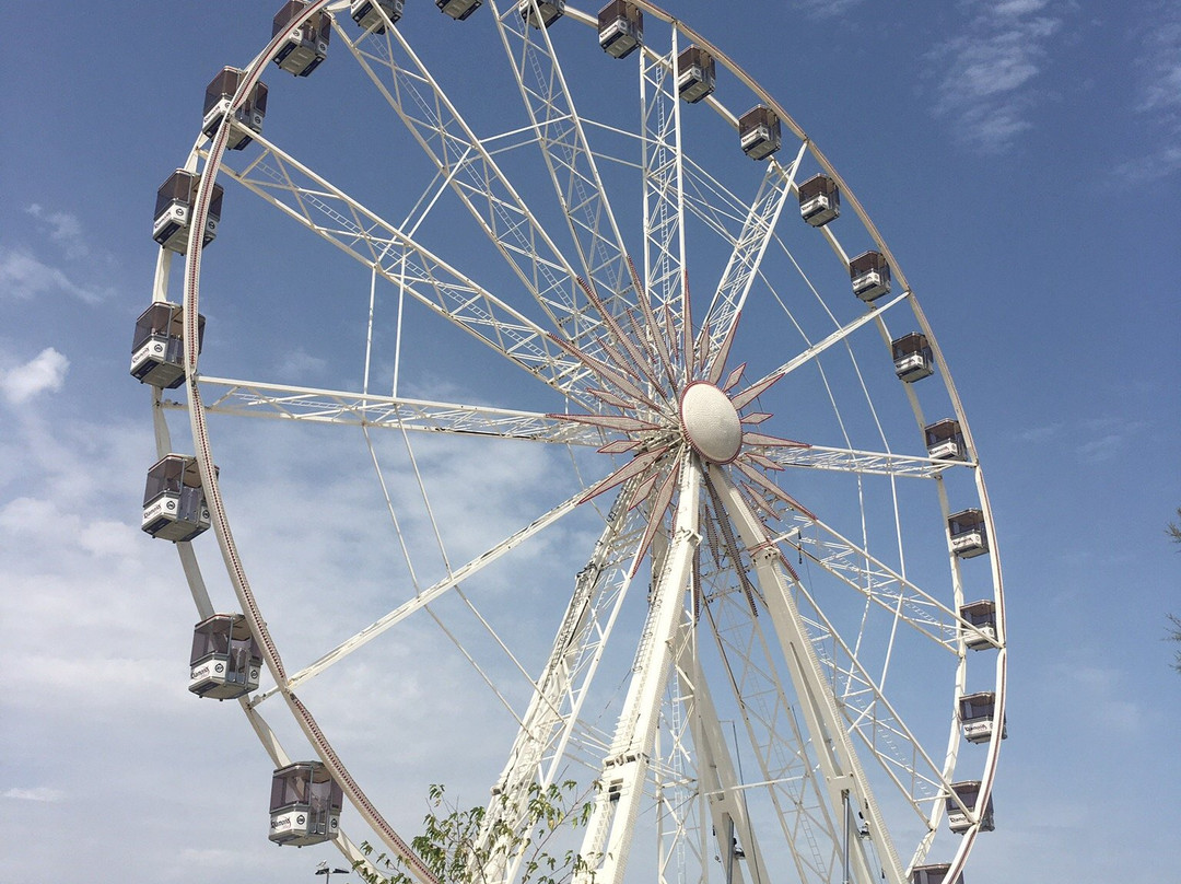 The Wheel of Rimini景点图片