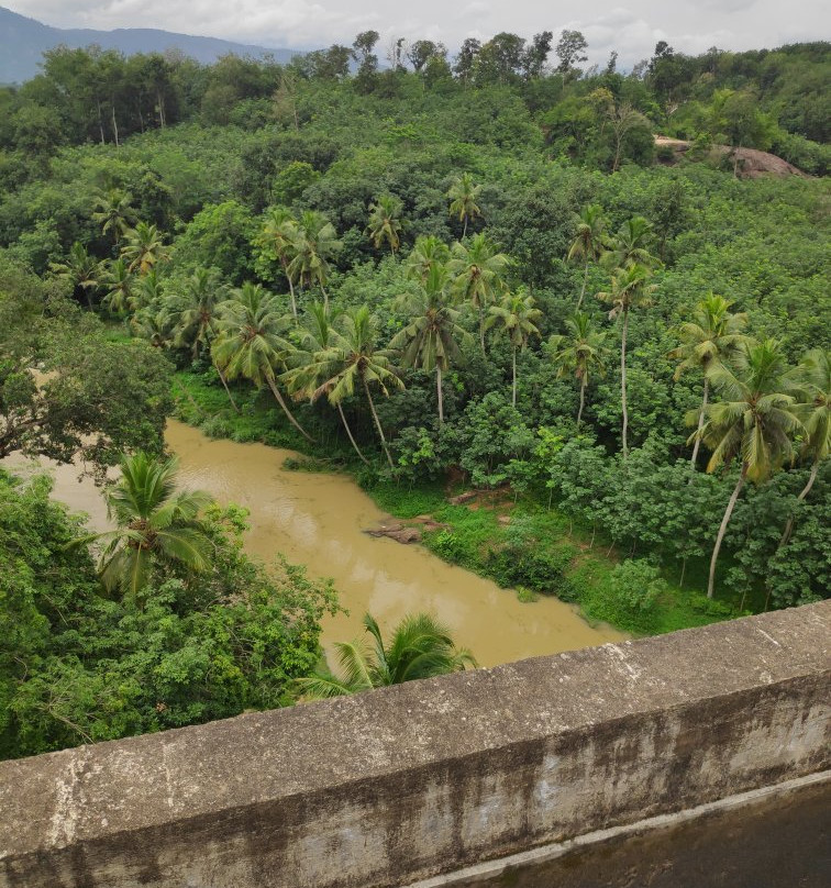 Mathur Hanging Trough Bridge景点图片