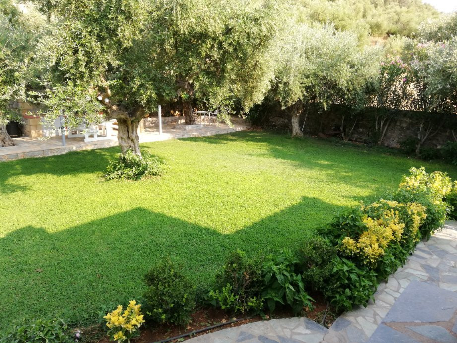 Electra Houses主图