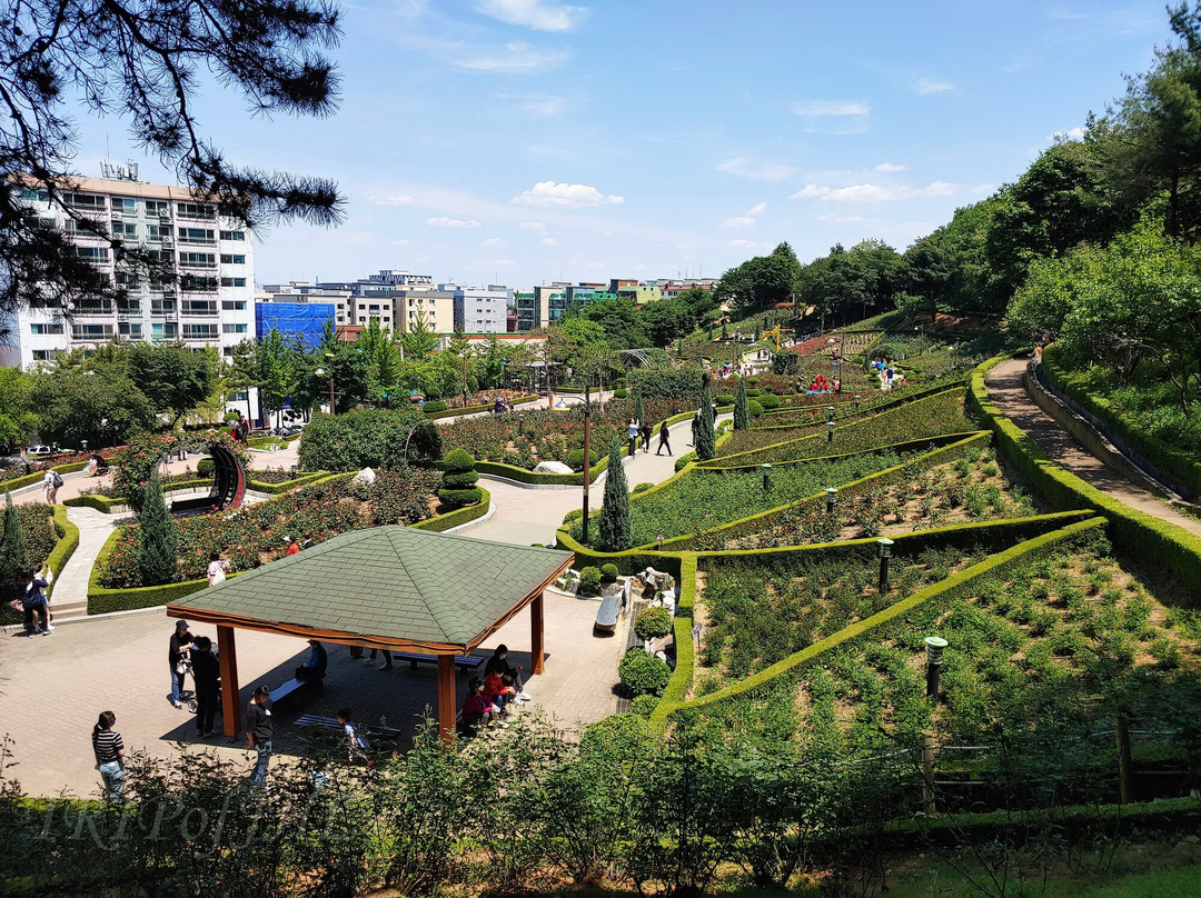 Dodang Park景点图片