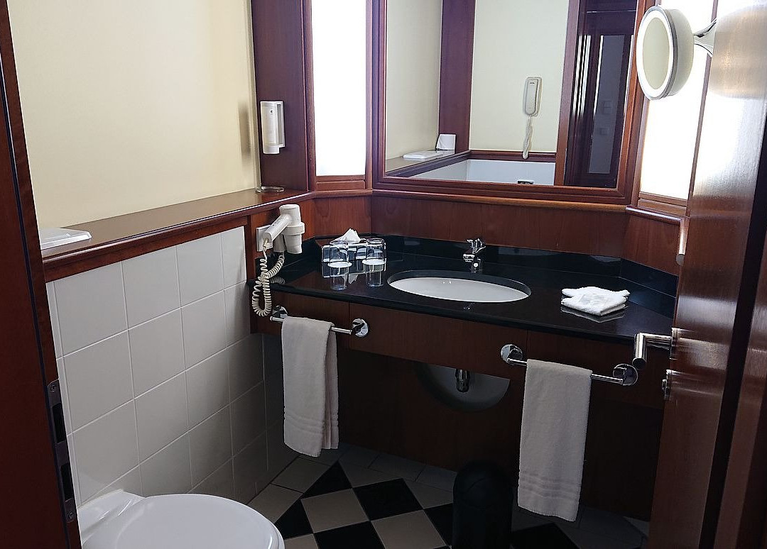 Radisson Blu Dresden Radebeul主图