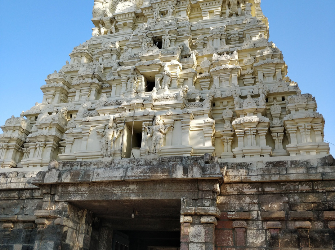 Vaacheeswarar Temple Thirupachur景点图片
