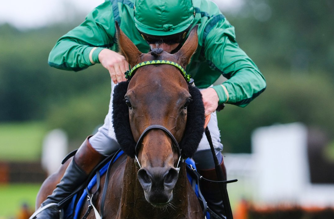 Market Rasen Racecourse景点图片