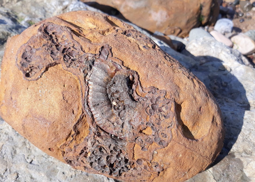 Hidden Horizons-斯卡伯勒必去景点