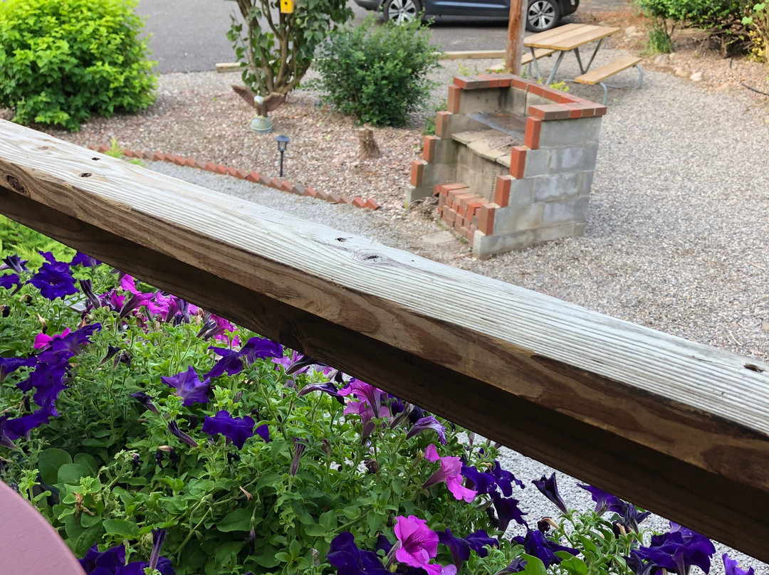 Lake Ontario Motel & Inn主图