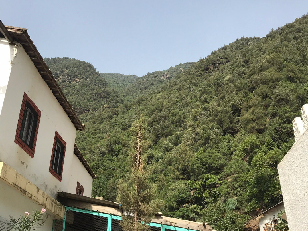 Chrea National Park景点图片