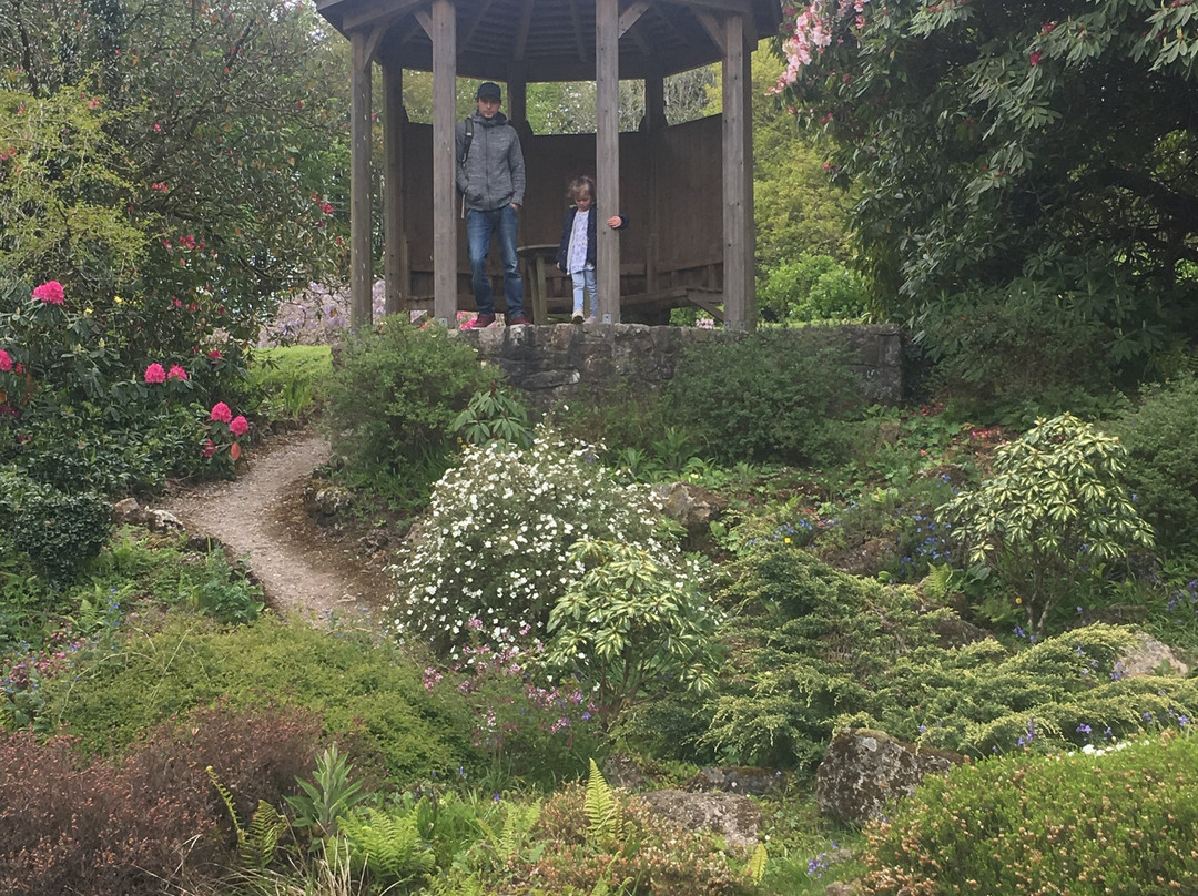 Lukesland Gardens-Ivybridge必去景点