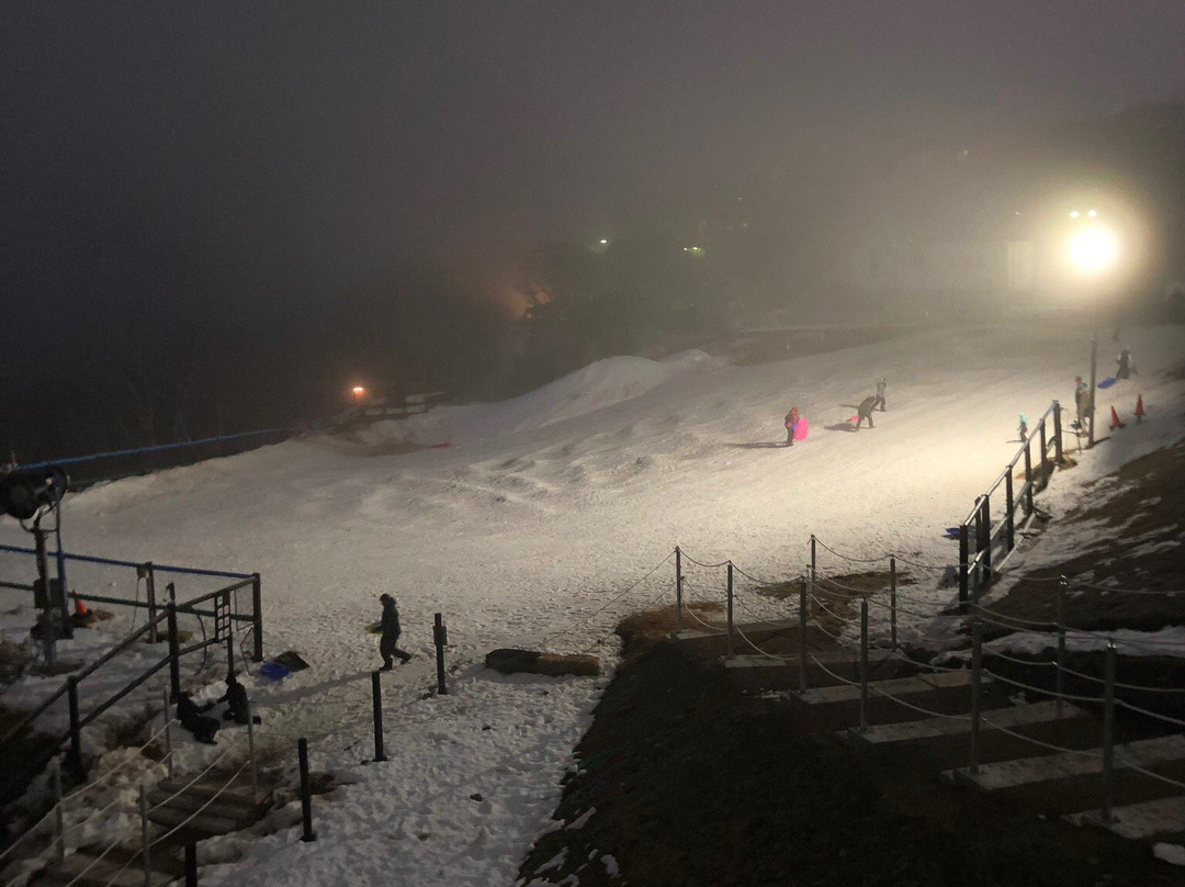 Alpine Retreat Hotel Mt Buller主图