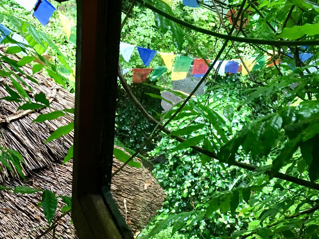 Wizards Thatch at Alderley Edge主图