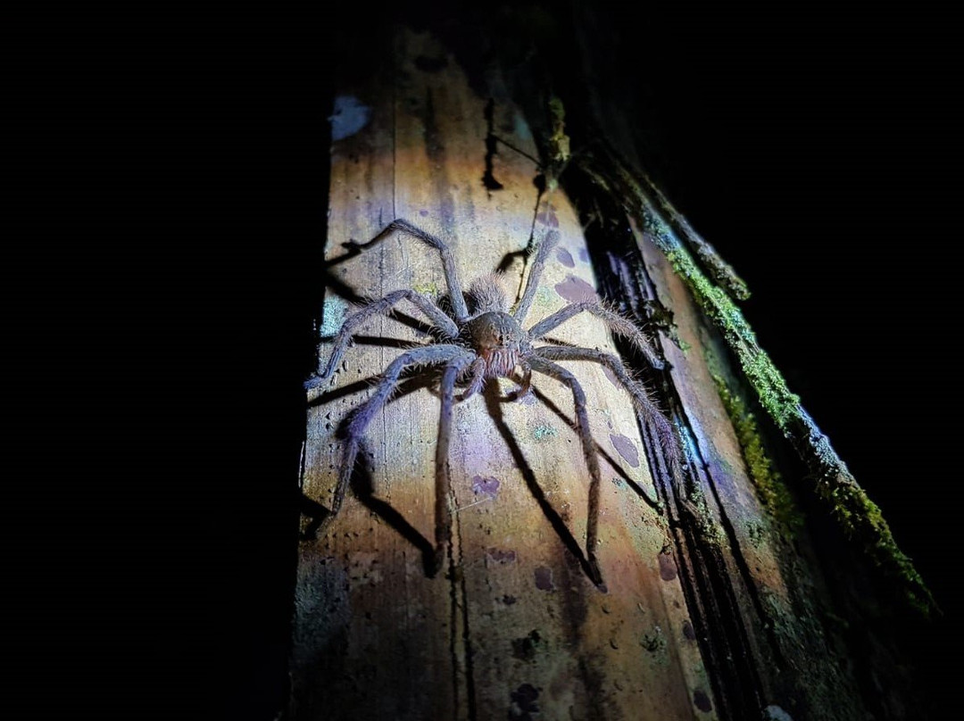 Mindo Biking-明多必去景点