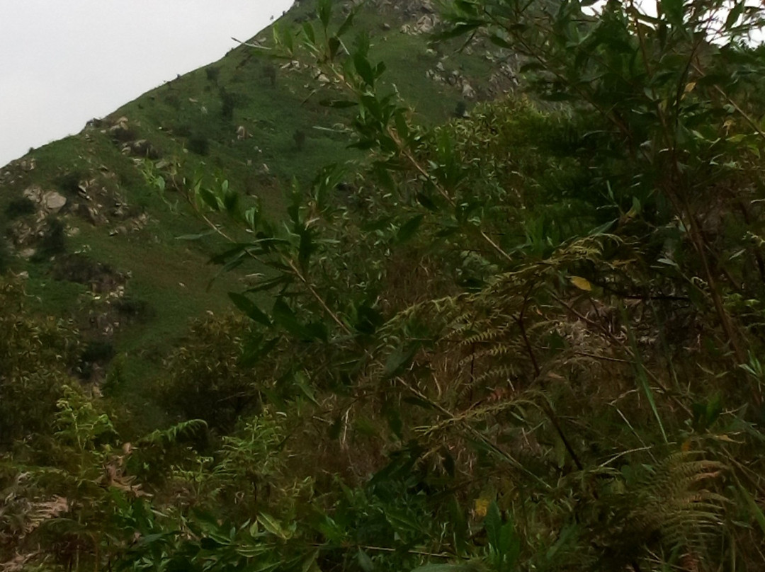 Mbeya Peak-姆贝亚必去景点