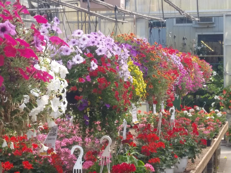 Horrocks Farm Market景点图片