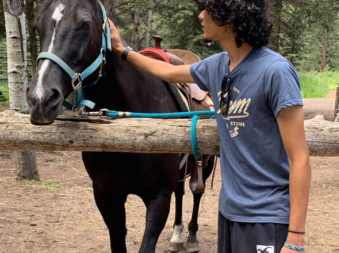 Bear Mountain Stables-Conifer必去景点