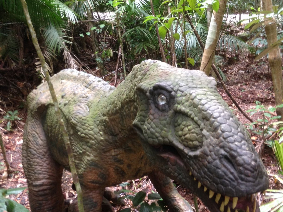 Jindalba Boardwalk-Cow Bay必去景点