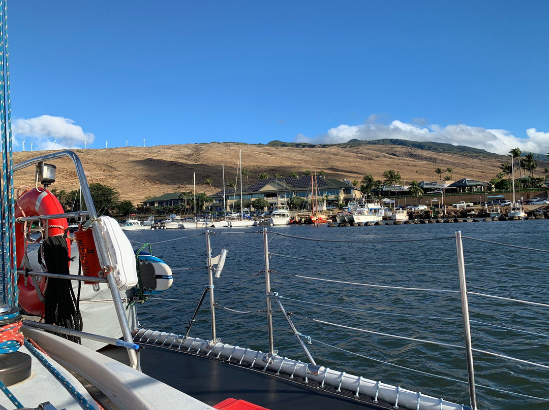 Sail Maui Private Tour-玛阿拉也亚必去景点