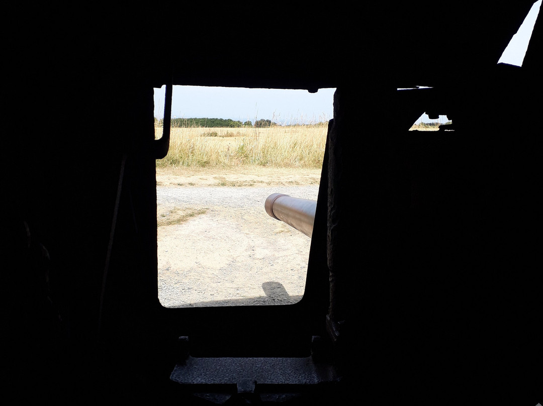 Batterie Allemande de Longues-Sure-Mer景点图片