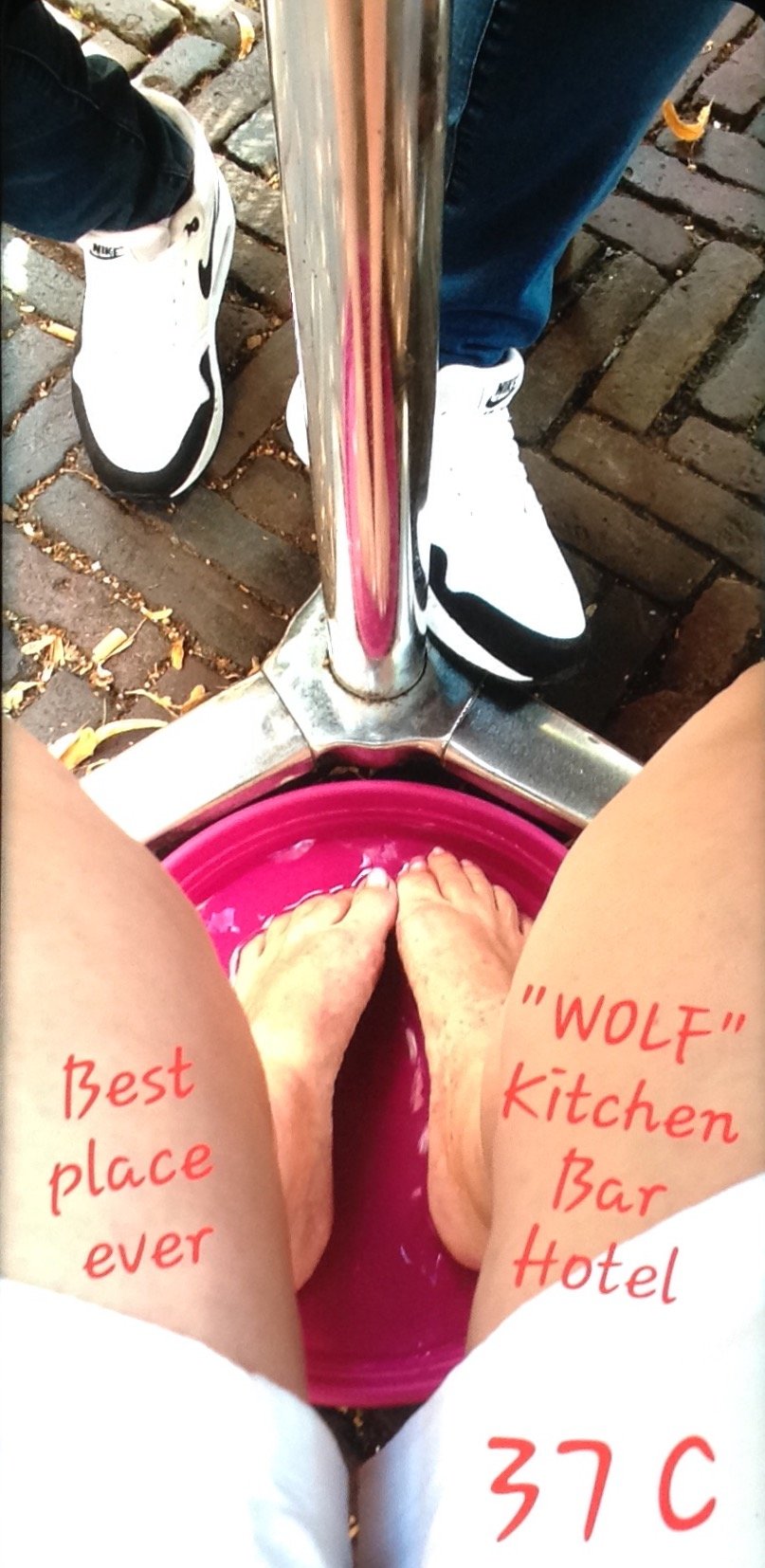 Wolf Hotel Kitchen & Bar-portrait
