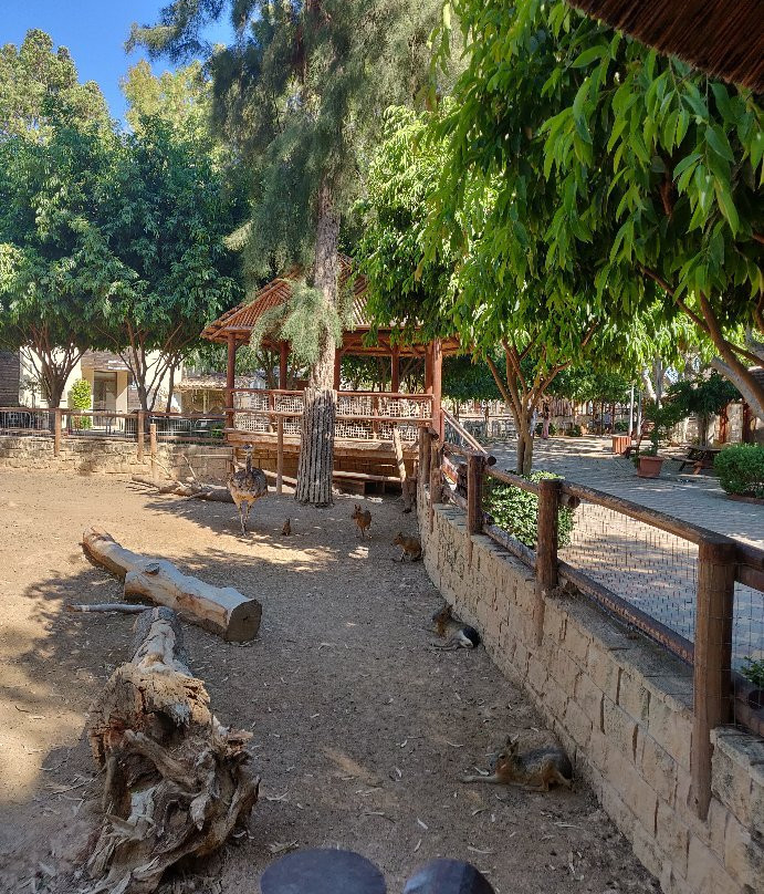 Limassol Zoo景点图片