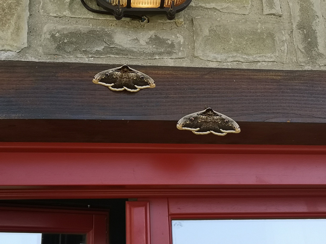 Rouista Tzoumerka Resort主图