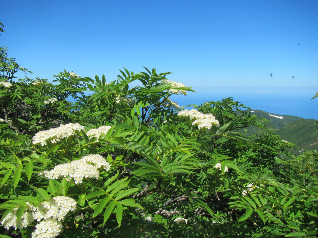 Mt. Kariba-岛牧村必去景点