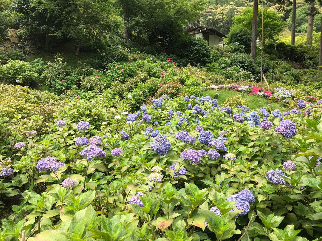 Mimuroto-ji Temple-宇治市必去景点