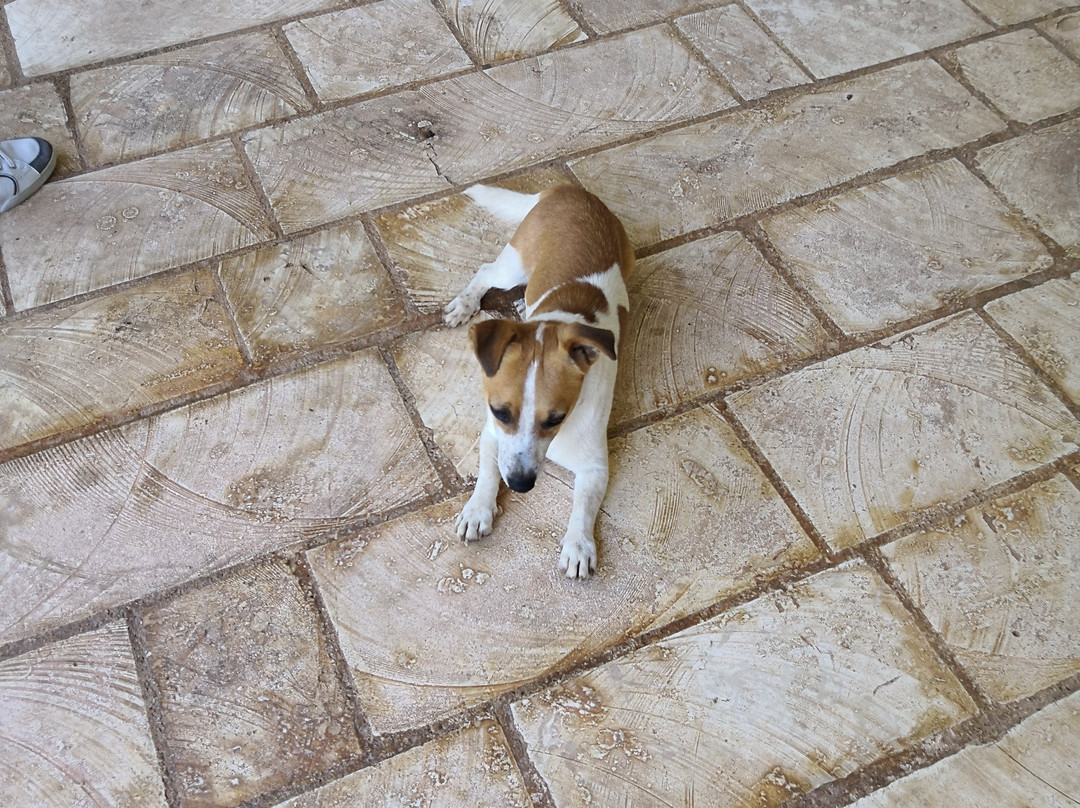 Masseria Asciano主图