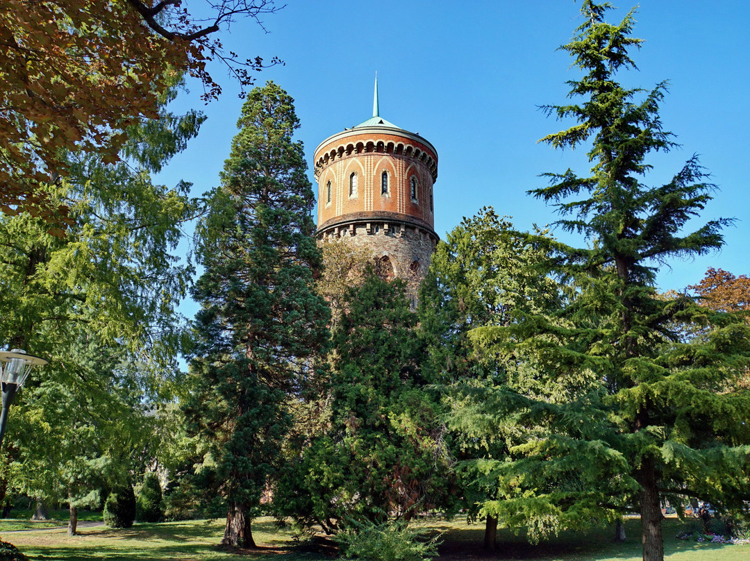Château d'eau de Colmar景点图片