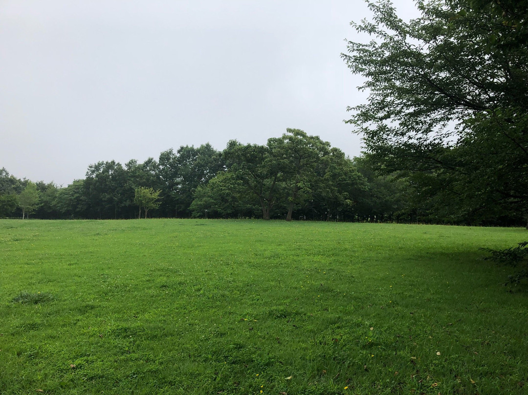 Makinohara Park-印西市必去景点