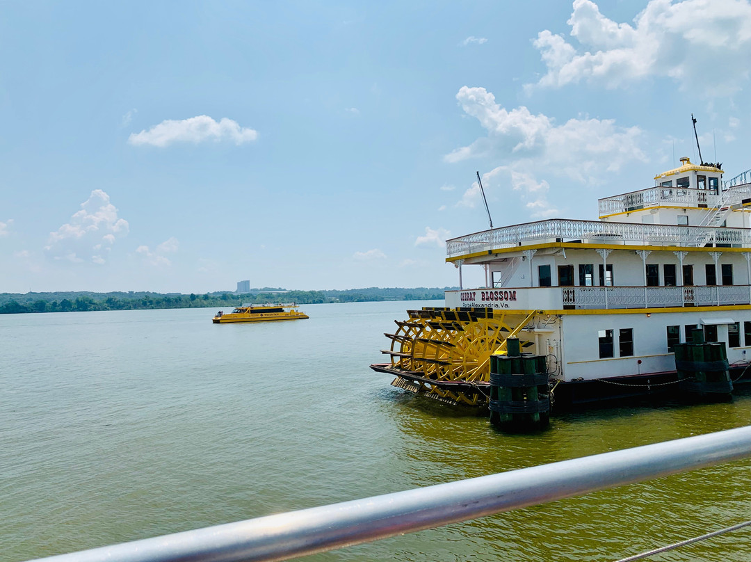 Potomac Water Taxi | City Cruises-亚历山德里亚必去景点