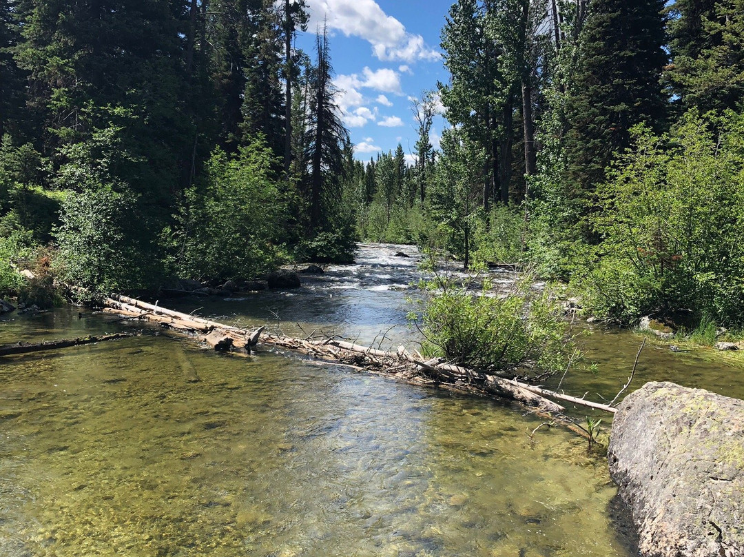 Phelps Lake Trail景点图片