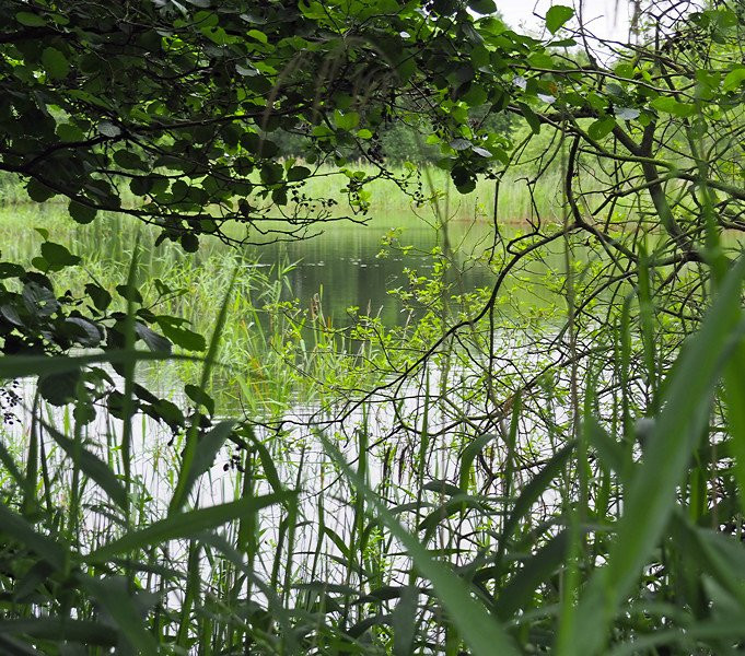 Messingham Sand Quarry-Messingham必去景点