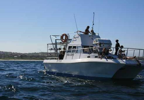 Shark Divers-Kleinbaai必去景点