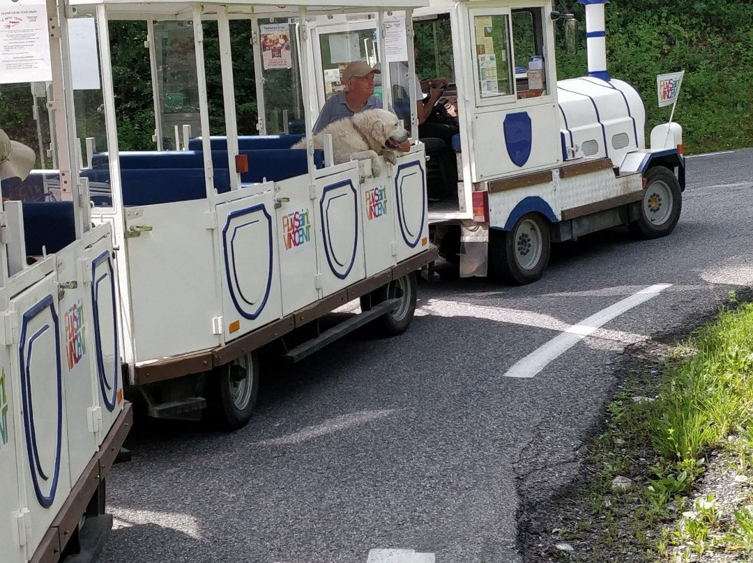 Le Petit Train Blanc du Travers景点图片