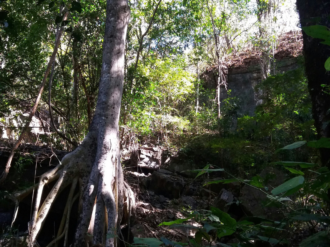 Trilha Itaguassu-Mambai必去景点