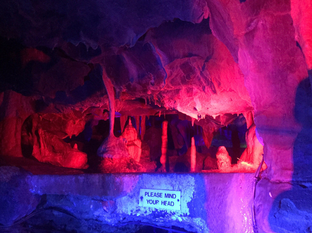 Cheddar Gorge & Caves景点图片